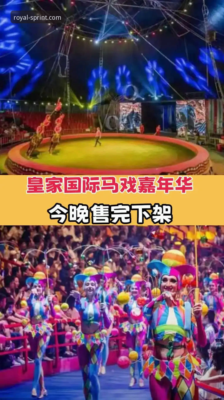 皇家国际平台安卓版下载安装实用指南：2025新版操作全解析