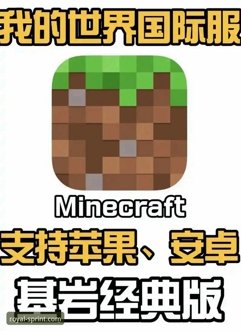皇家国际平台入口操作教程：从下载到安全使用的完整指南