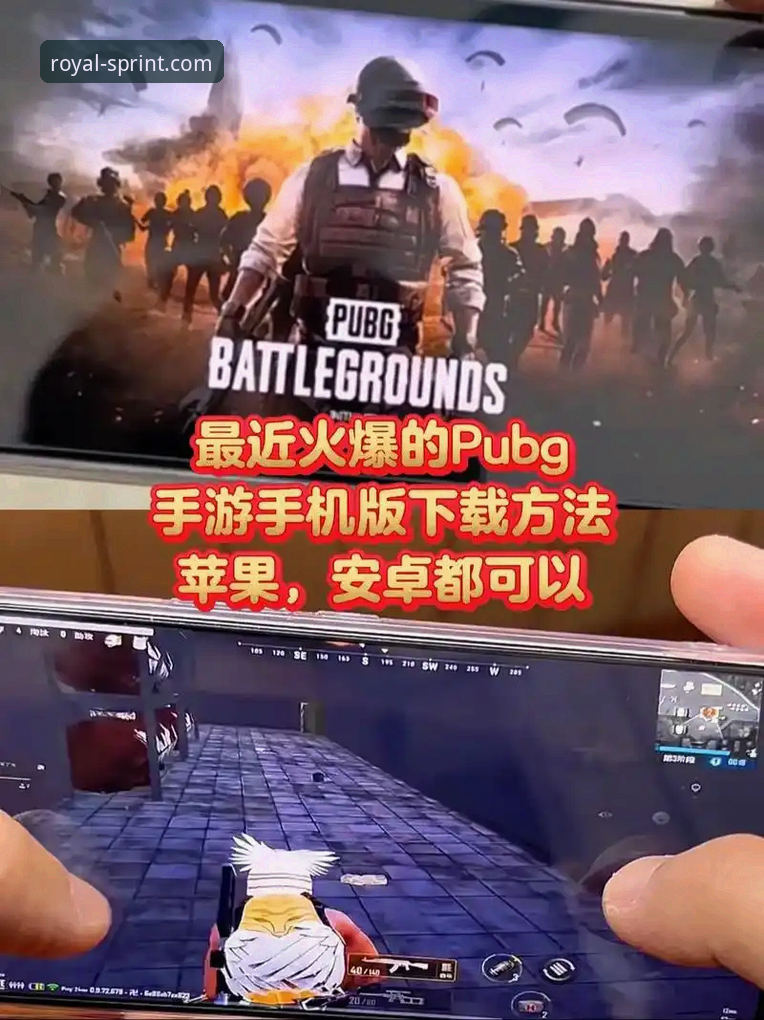 皇家国际平台安卓版下载安装实用指南：2025新版操作全解析
